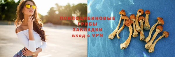 спиды Нефтекумск