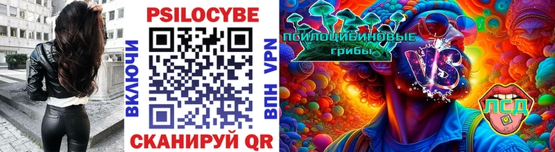 Галлюциногенные грибы Cubensis Краснообск