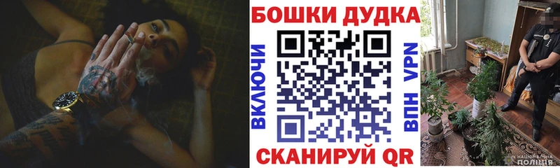 Канабис гибрид  Краснообск 